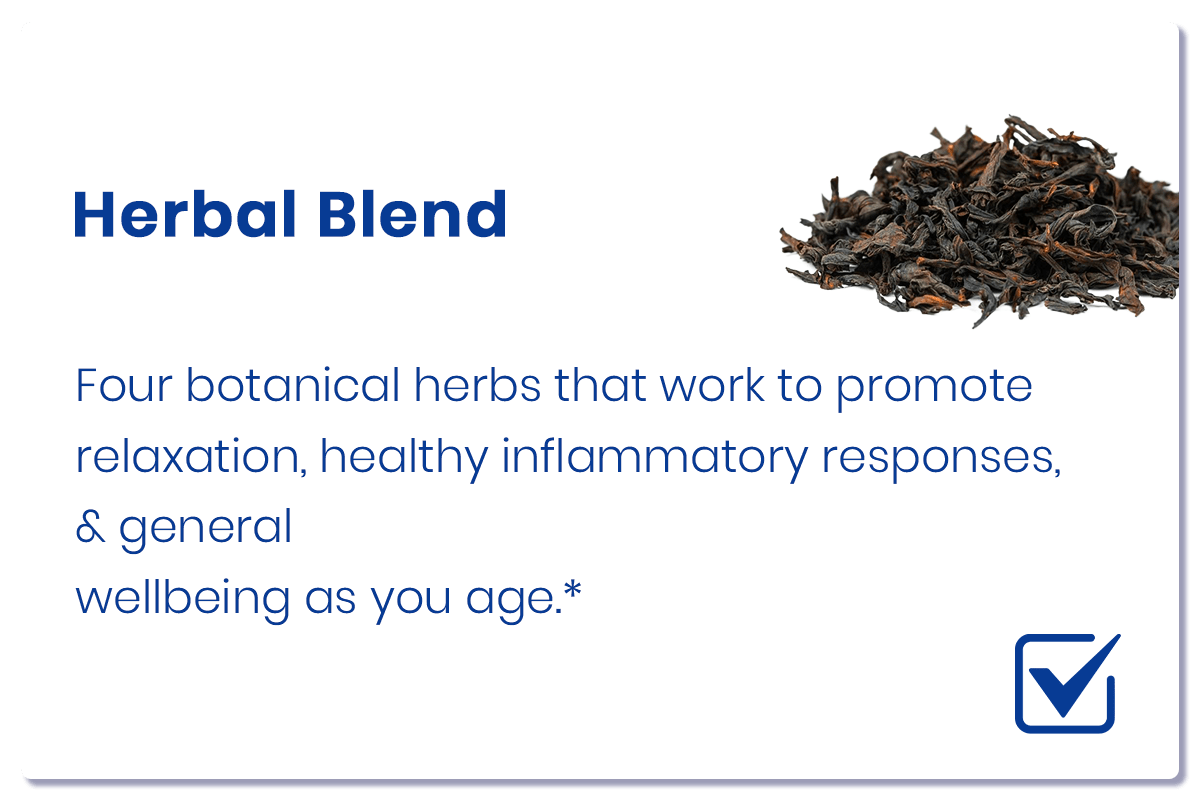 Luhaka™ NeuroEase Nerve Health Support Inhaler_Ultra02 25 6 8d8d96ee b25e 4de8 b6a1 6d7f88fa740a